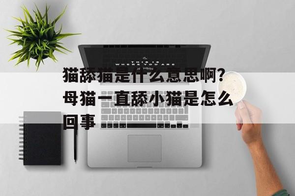 猫舔猫是什么意思啊？母猫一直舔小猫是怎么回事-第1张图片-