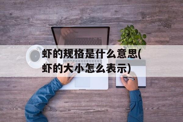 虾的规格是什么意思(虾的大小怎么表示)-第1张图片-