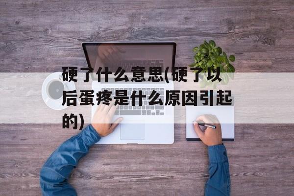 硬了什么意思(硬了以后蛋疼是什么原因引起的)-第1张图片-