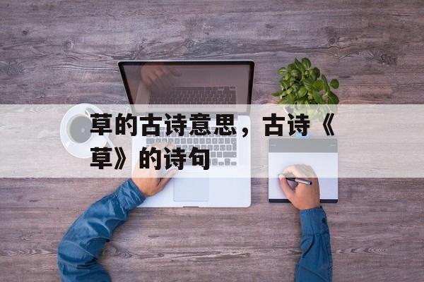 草的古诗意思，古诗《草》的诗句-第1张图片-