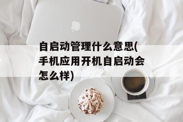 自启动管理什么意思(手机应用开机自启动会怎么样)-第1张图片-