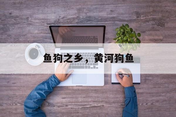 鱼狗之乡，黄河狗鱼-第1张图片-