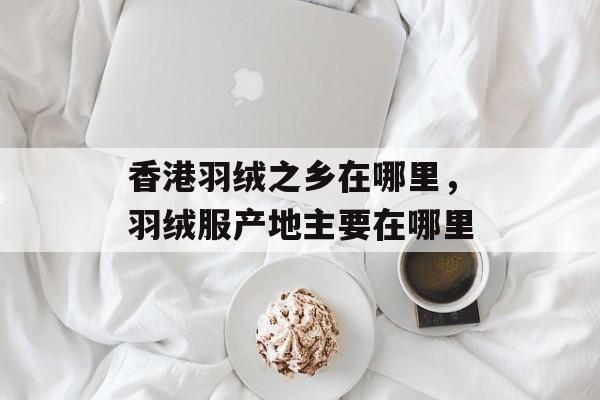香港羽绒之乡在哪里，羽绒服产地主要在哪里-第1张图片-