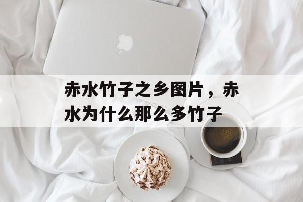 赤水竹子之乡图片，赤水为什么那么多竹子-第1张图片-