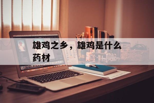 雄鸡之乡，雄鸡是什么药材-第1张图片-