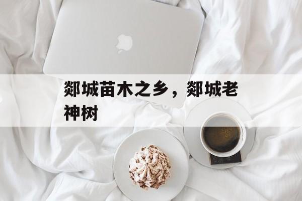 郯城苗木之乡，郯城老神树-第1张图片-