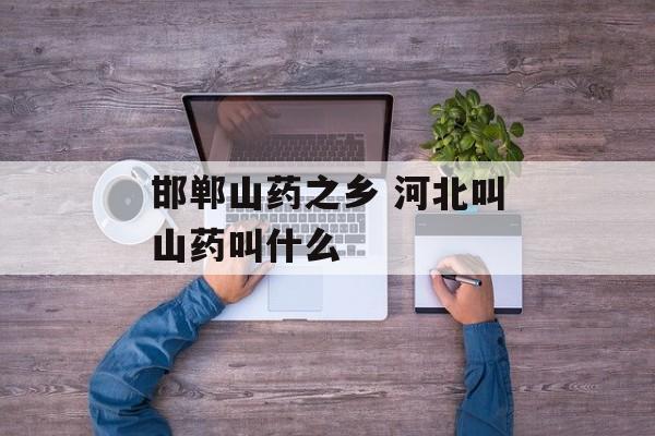 邯郸山药之乡 河北叫山药叫什么-第1张图片-