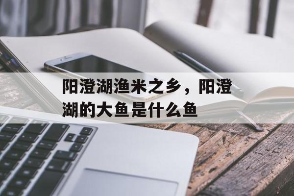 阳澄湖渔米之乡，阳澄湖的大鱼是什么鱼-第1张图片-