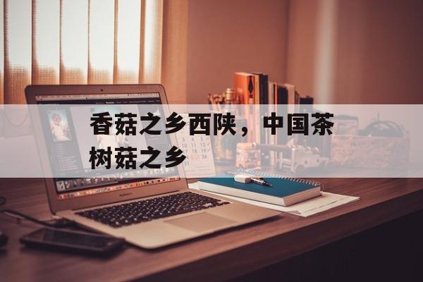 香菇之乡西陕，中国茶树菇之乡-第1张图片-