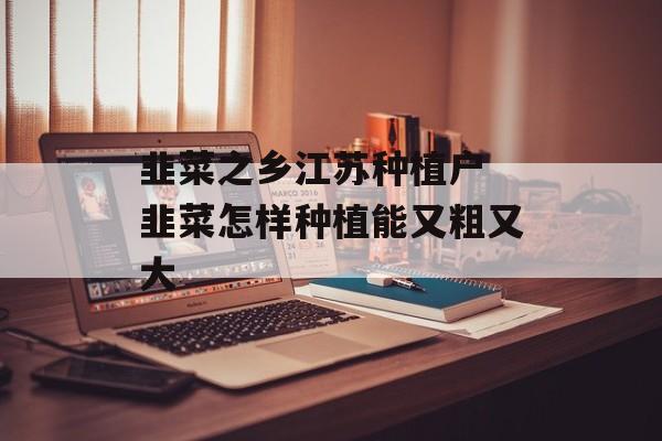 韭菜之乡江苏种植户 韭菜怎样种植能又粗又大-第1张图片-