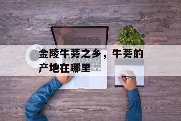 金陵牛蒡之乡，牛蒡的产地在哪里-第1张图片-