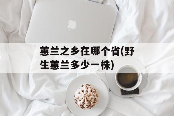 蕙兰之乡在哪个省(野生蕙兰多少一株)-第1张图片-