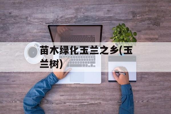 苗木绿化玉兰之乡(玉兰树)-第1张图片-