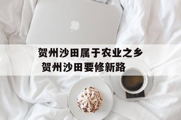 贺州沙田属于农业之乡 贺州沙田要修新路-第1张图片-