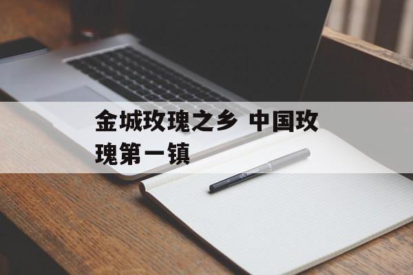金城玫瑰之乡 中国玫瑰第一镇-第1张图片-