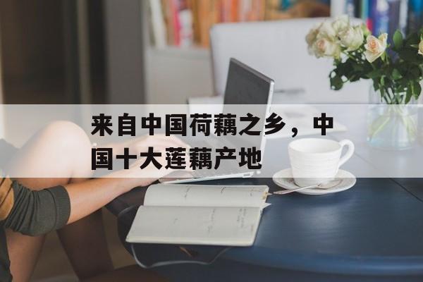 来自中国荷藕之乡，中国十大莲藕产地-第1张图片-