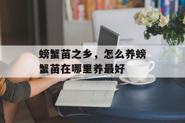 螃蟹苗之乡，怎么养螃蟹苗在哪里养最好-第1张图片-