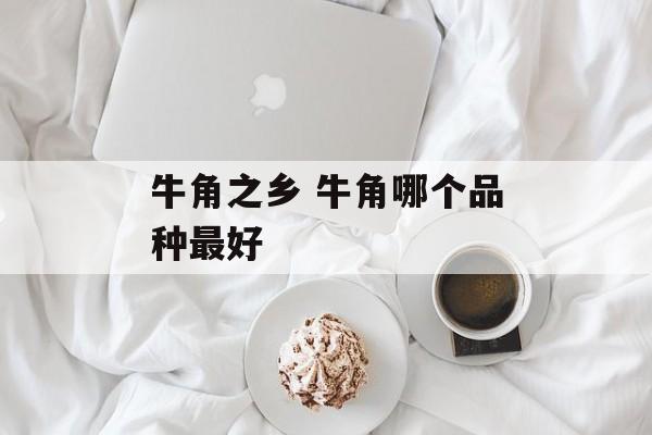 牛角之乡 牛角哪个品种最好-第1张图片-