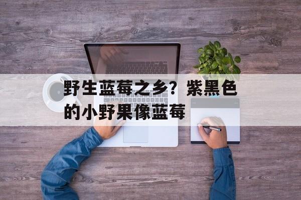 野生蓝莓之乡？紫黑色的小野果像蓝莓-第1张图片-