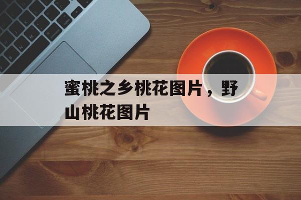 蜜桃之乡桃花图片，野山桃花图片-第1张图片-