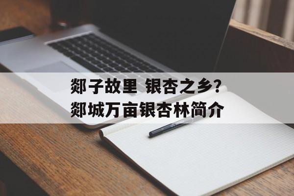 郯子故里 银杏之乡？郯城万亩银杏林简介-第1张图片-