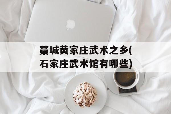 藁城黄家庄武术之乡(石家庄武术馆有哪些)-第1张图片-