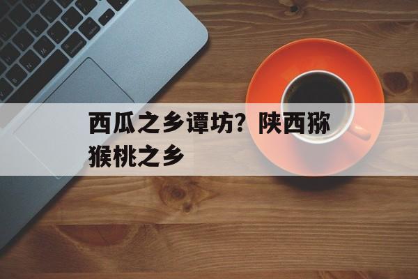 西瓜之乡谭坊？陕西猕猴桃之乡-第1张图片-