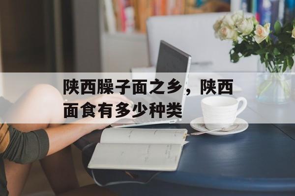 陕西臊子面之乡，陕西面食有多少种类-第1张图片-
