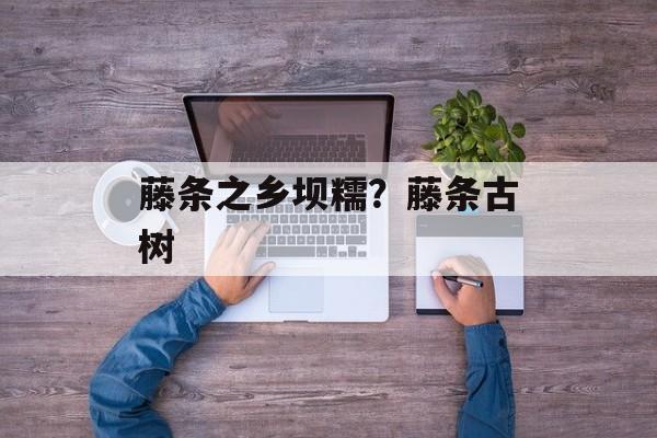 藤条之乡坝糯？藤条古树-第1张图片-