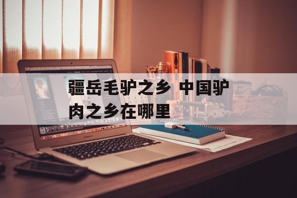 疆岳毛驴之乡 中国驴肉之乡在哪里-第1张图片-
