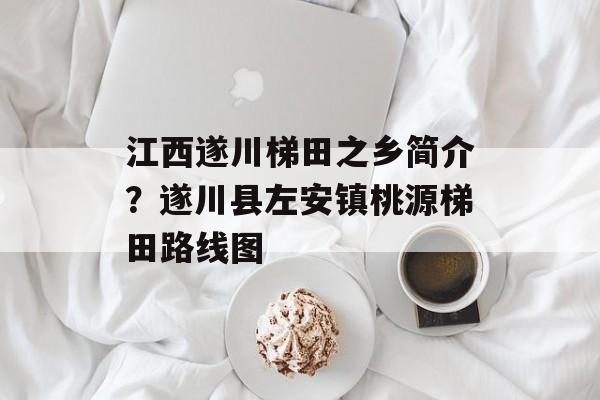 江西遂川梯田之乡简介？遂川县左安镇桃源梯田路线图-第1张图片-