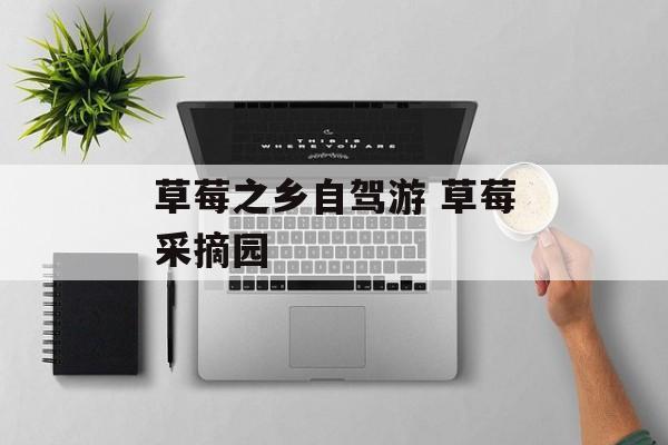 草莓之乡自驾游 草莓采摘园-第1张图片-