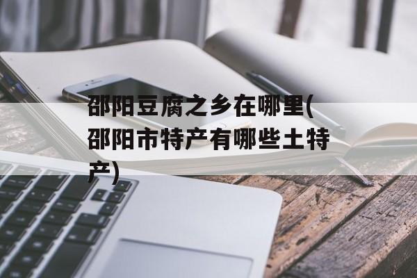 邵阳豆腐之乡在哪里(邵阳市特产有哪些土特产)-第1张图片-