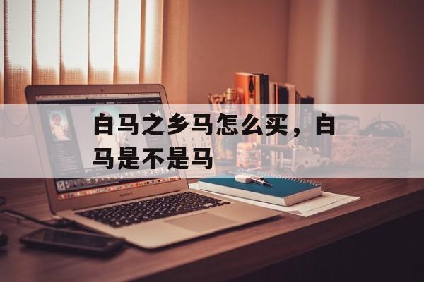 白马之乡马怎么买，白马是不是马-第1张图片-
