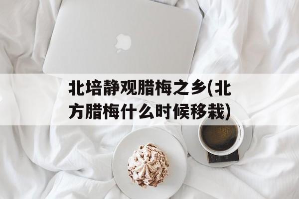 北培静观腊梅之乡(北方腊梅什么时候移栽)-第1张图片-