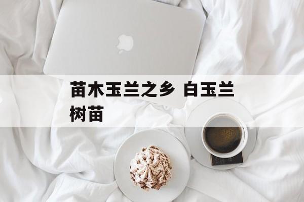 苗木玉兰之乡 白玉兰树苗-第1张图片-