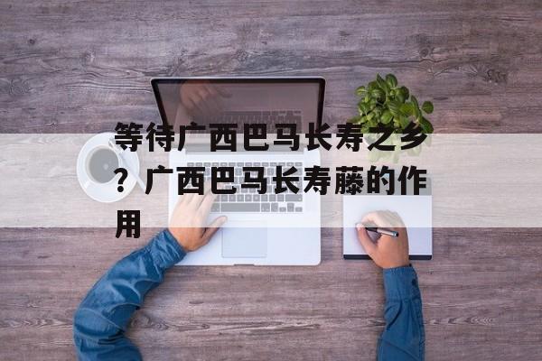 等待广西巴马长寿之乡？广西巴马长寿藤的作用-第1张图片-
