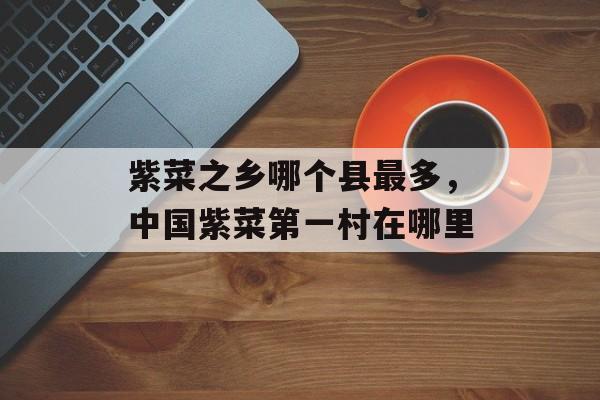 紫菜之乡哪个县最多，中国紫菜第一村在哪里-第1张图片-