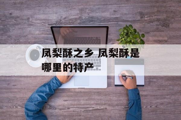 凤梨酥之乡 凤梨酥是哪里的特产-第1张图片-